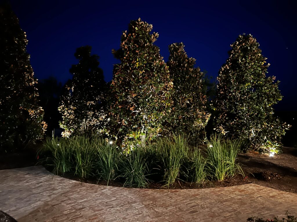 Expert landscape lighting installation in Central Texas